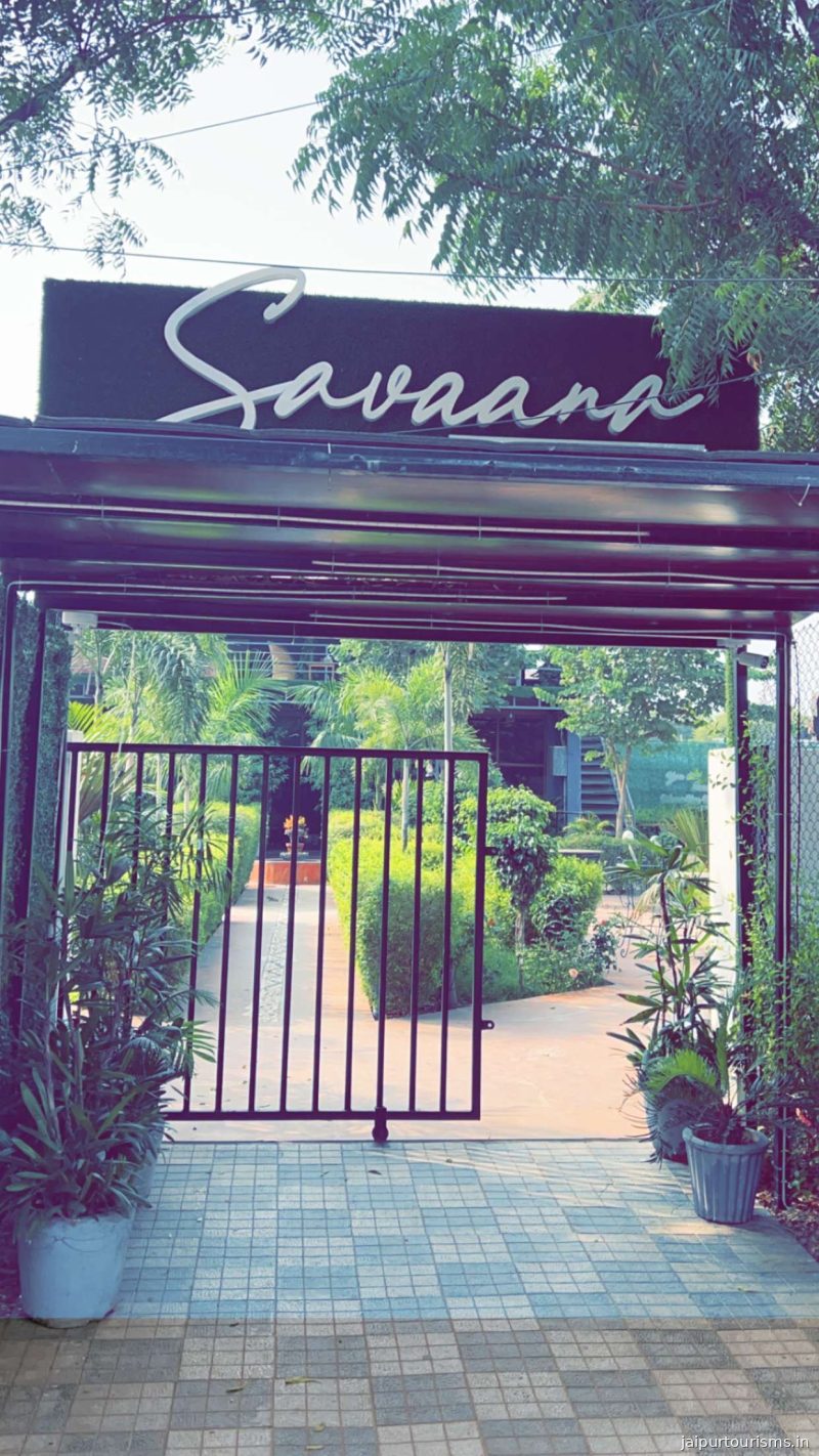 Savaana Cafe & Kitchen — Jaipur
