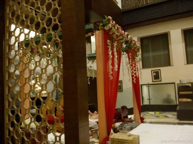 Cafe Viva — Jaipur