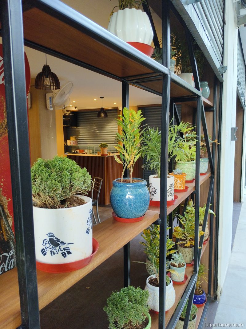 CHAAA CAFE — Jaipur